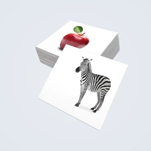 כרטיסיות ידע אנציקלופדי לפי שיטת גלן דומן