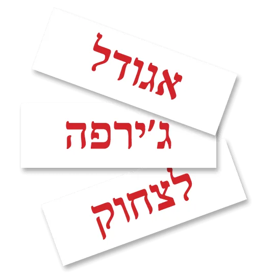 כרטיסיות מילים ראשונות – העולם הגדול – תמונה 2