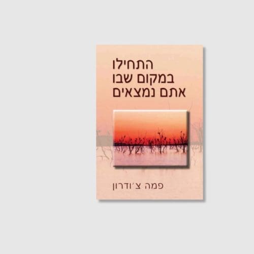 התחילו במקום שבו אתם נמצאים - ספר מאת פמה צ'ודרון